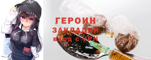 индика Володарск