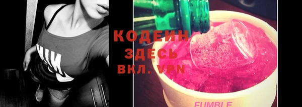 индика Володарск