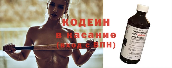 индика Володарск