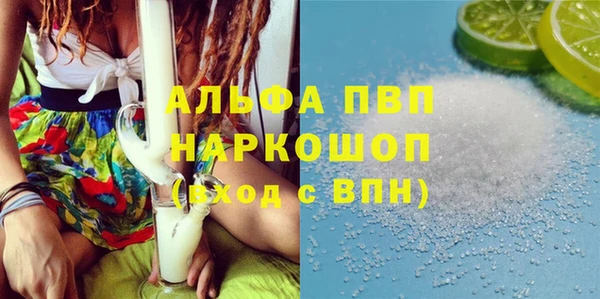 индика Володарск