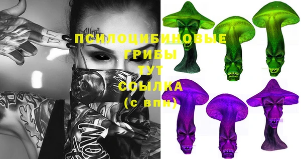 марки lsd Вяземский