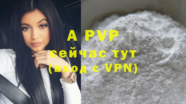 индика Володарск