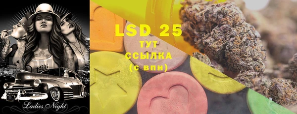 индика Володарск