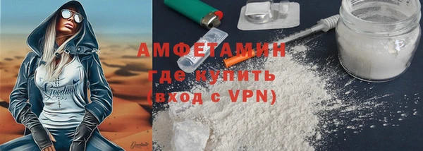 индика Володарск