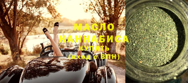 индика Володарск