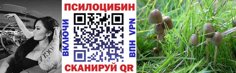 цены наркотик  Хасавюрт  Галлюциногенные грибы прущие грибы 
